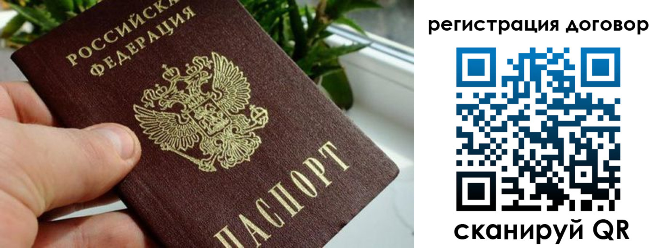 прописка ребенка в Ясном